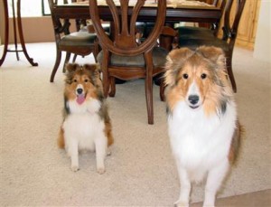 2003-05 Tigger & Nitro (2)